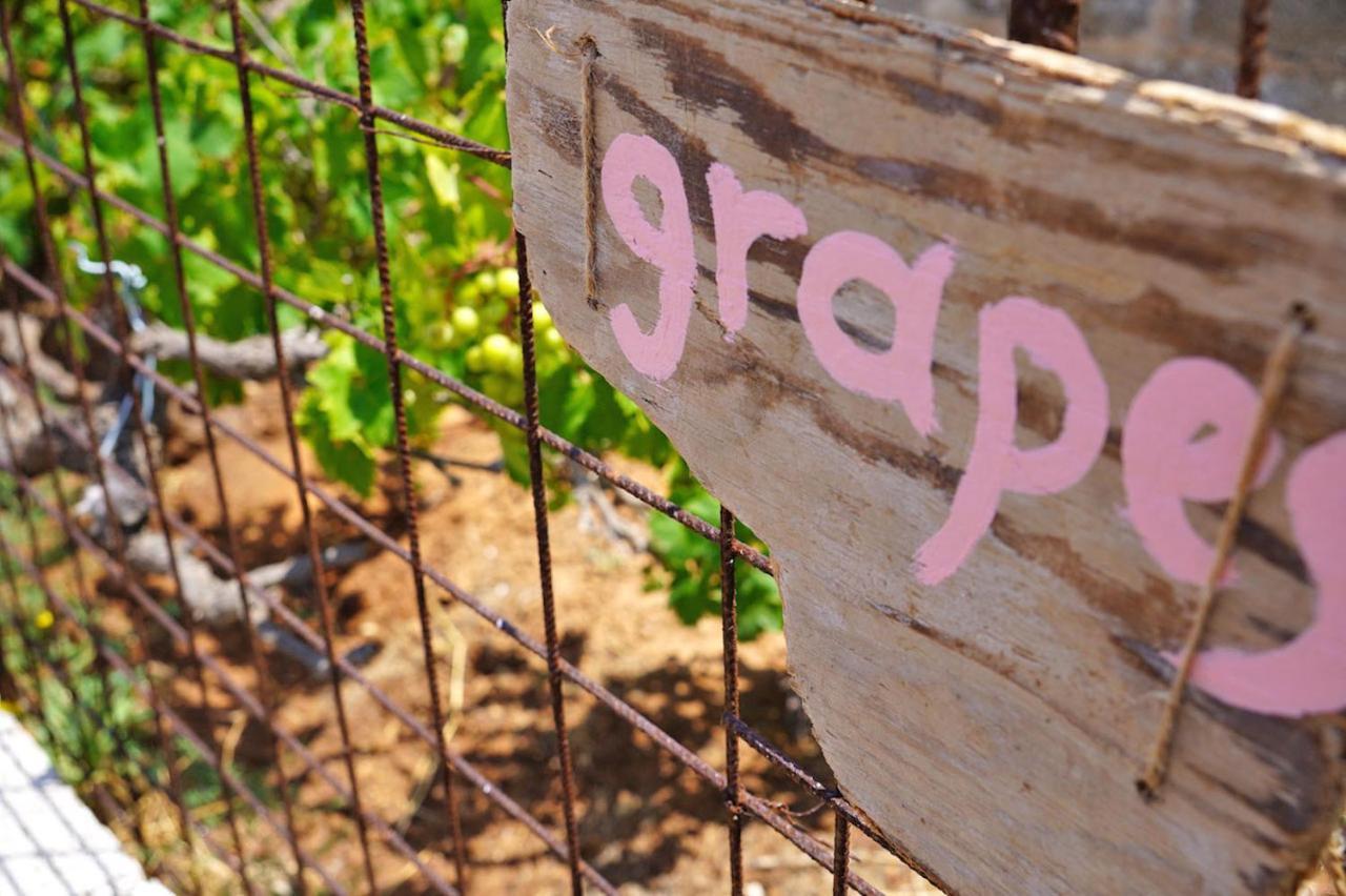 Figs & Grapes * Cosy Small House * Marmari * South Evia Villa Esterno foto